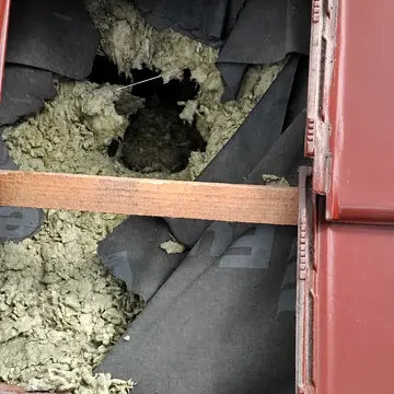 Dziura w połaci dachu pod zdjętą dachówką