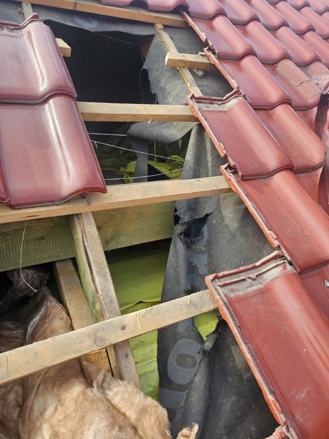 Szkoda po kunie na dachu z dachówki ceramicznej, zdjęte dachówki, rozerwana czarna membrana i wyciągnięta wełna